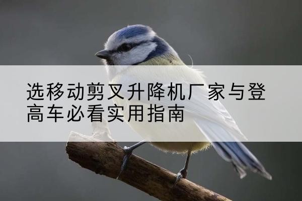 肥西电动升降机厂家-选移动剪叉升降机厂家与登高车必看实用指南
