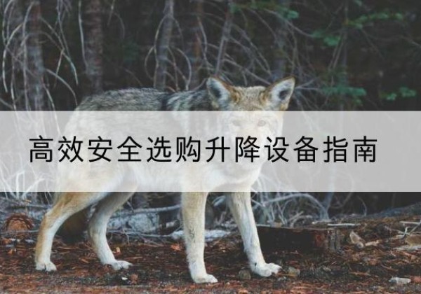 肥西升降货梯厂家推荐-*安全选购升降设备指南