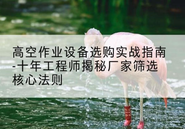 肥西剪叉式升降机厂家-高空作业设备选购实战指南-十年工程师揭秘厂家筛选核心法则