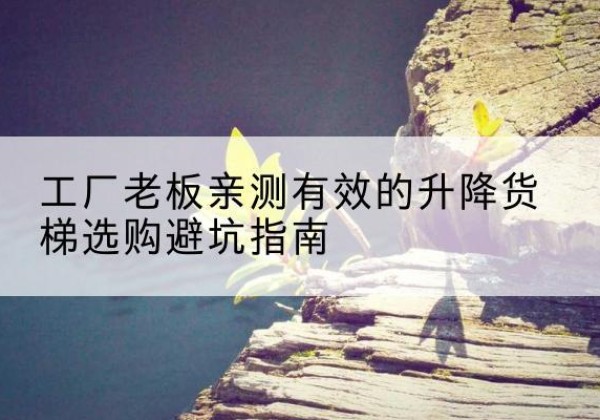 肥西升降货梯怎么选-工厂老板亲测有效的升降货梯选购避坑指南